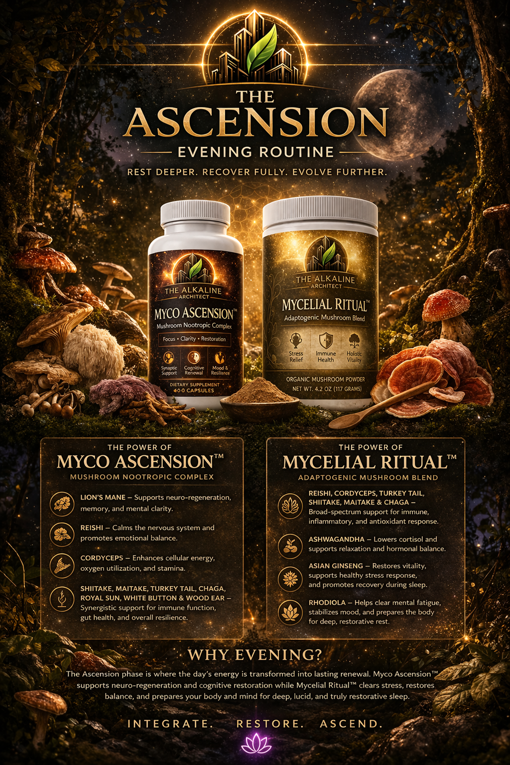 The Architect's Protocol — 24-Hour Biological Optimization System