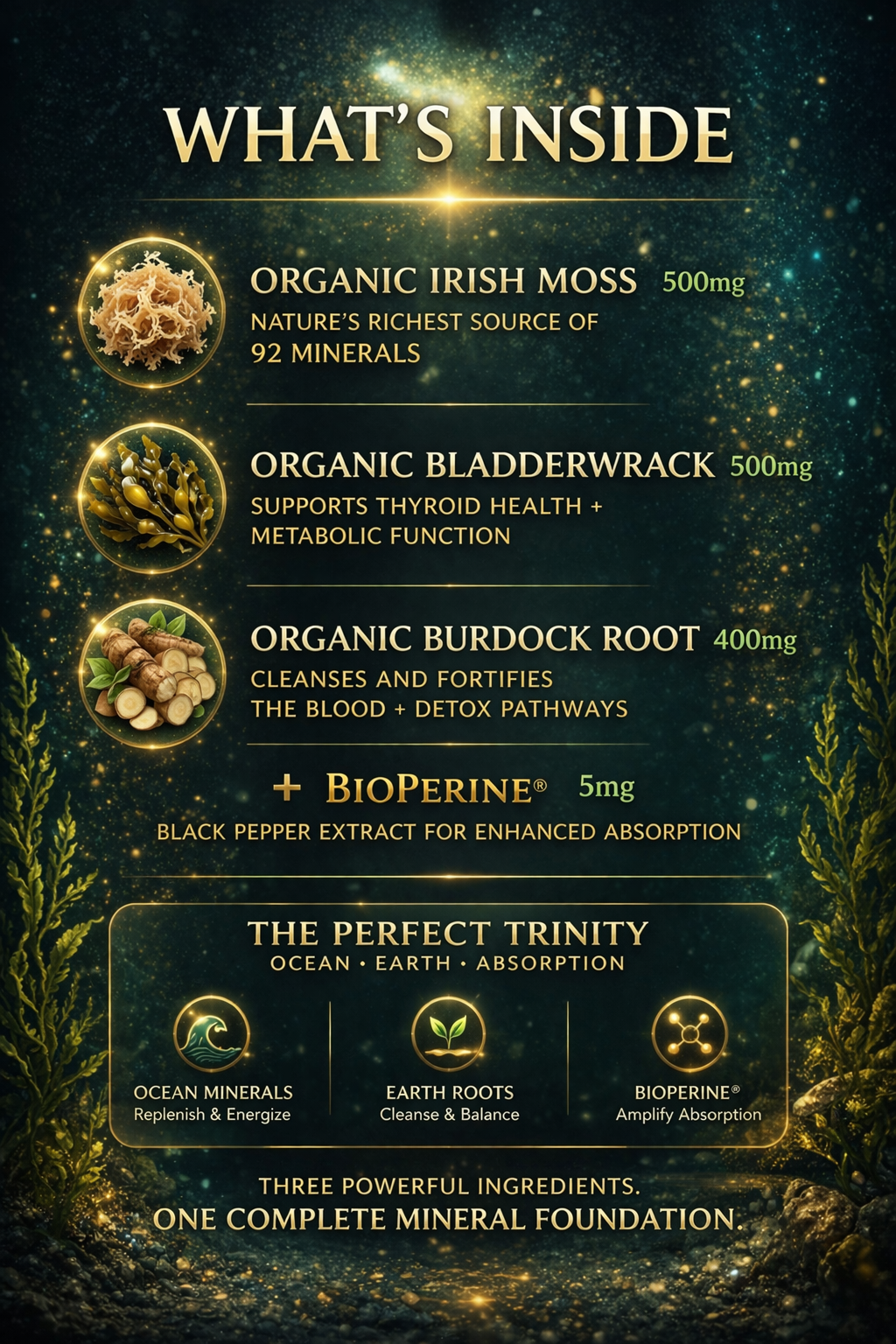 Synergetic Moss™ — Ocean Mineral Complex